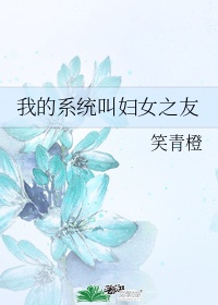 我的系统叫妇女之友