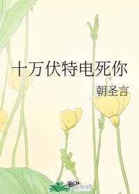 十万伏特电死你